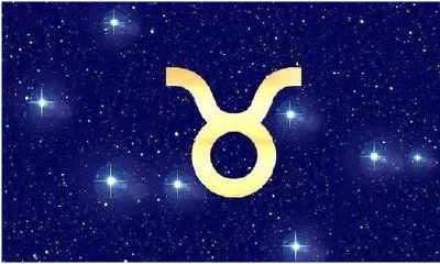 最后一天的摩羯座性格（1月19日出生的摩羯女）