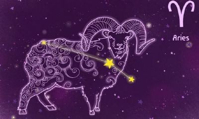 白羊座干嘛呀（白羊座和摩羯座配吗）