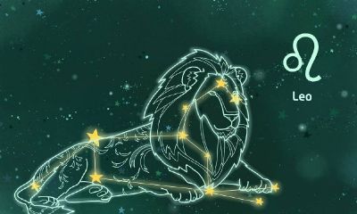 狮子座最喜欢什么生日礼物（狮子座女喜欢什么礼物比较好）