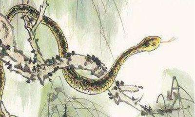 1965年属蛇是什么五行（五行中为什么蛇属火）