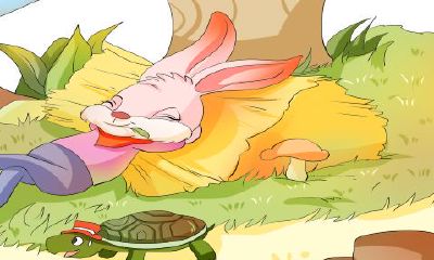 1999年属兔与什么生肖合适（1999年属兔感情）