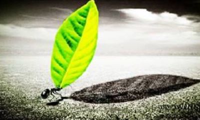 属兔的取名宜用字（属狗取名宜用字大全）