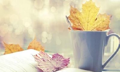 今年属牛的什么时候出生好（属牛几点出生最好）