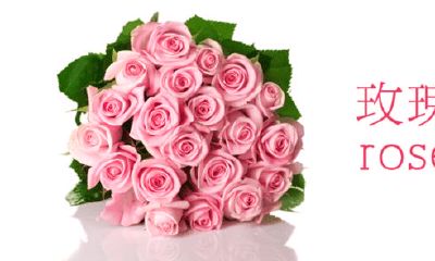 1986年虎年的爱情（86年属虎女对爱情专一的程度）