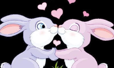 属兔男属兔女能成为夫妻吗（属兔男跟属兔女的婚姻合适吗）