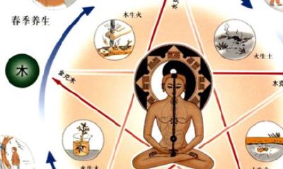 五行分类属于木的是（五行木有哪些木）