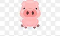 属龙女人漂亮吗（属龙的女人性格）