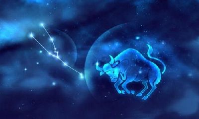 什么时候是金牛座的最佳生日（12星座谁最怕双子座）