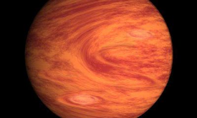 木星落入摩羯座（木星落在摩羯座12宫）