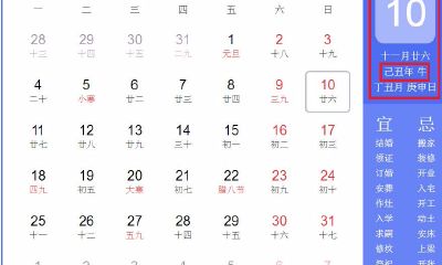 10年什么生肖年（1999年属相配对）