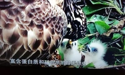 算命的说生来就是有钱人（算命说有钱的人就一定有钱么）