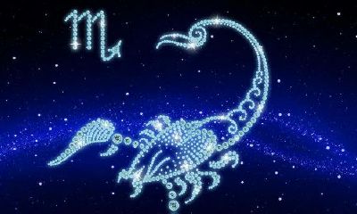 天蝎座智商排名第几（天蝎座综合实力第一名）