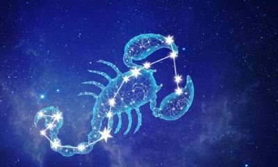 最喜欢双鱼座女生的星座男（水瓶座注定爱哪个星座）