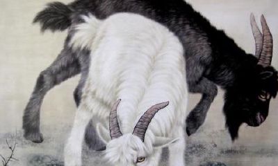 犯太岁的五个生肖（犯太岁的五种形式）