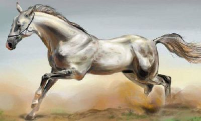 羊鼠婚配一旦休（91年男和96年女鼠婚配）