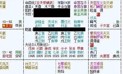 紫薇斗数命主身主是什么意思（中国紫微星已经降世）