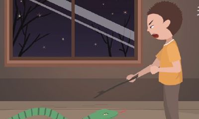 周公解梦大全查询梦到蛇死了（梦见一条长蛇死了）