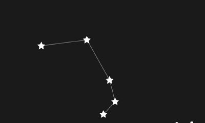 白羊座女生受欢迎吗（白羊座女生招人喜欢吗）