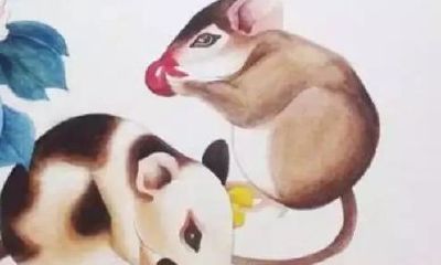 1984年属鼠在2023运命及运程（84年生肖鼠2023年运势）