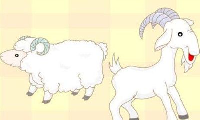 属马和属猴的合不合得来（生肖属马和属猴好不好）