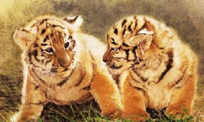 属虎带什么菩萨保佑（属虎的守护神是什么菩萨）