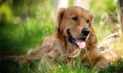 1992年属猴男一生的命运（1992年属猴的人命运怎么样）