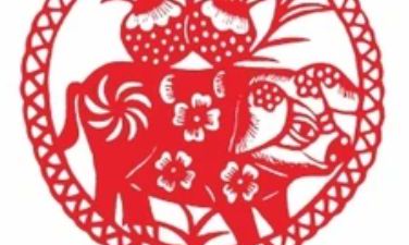 属鸡女一见钟情的生肖（属鸡男和什么属相女最配）