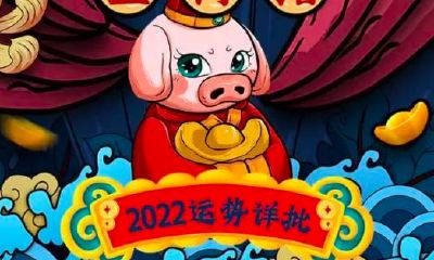 2025年属猪运势及运程（属猪2023到2024运势）