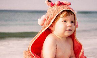 属猪的起名字带什么好（属猪起名字用什么字最好）