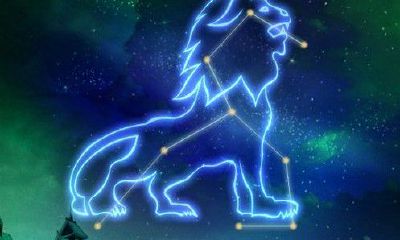 94年摩羯座男2023运势（摩羯座今年运势2023）