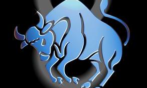 12星座介绍大全金牛座（十二星座所有排名大全）