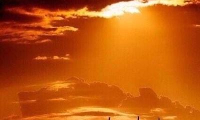 周公解梦梦见捞鱼号码（梦到捉鱼是什么意思周公解梦）