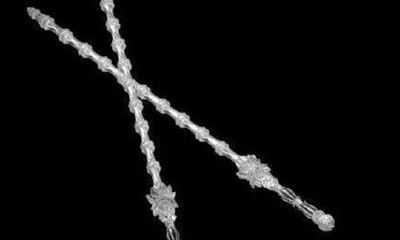 射手座最适合哪个剑（射手座最佳配对）