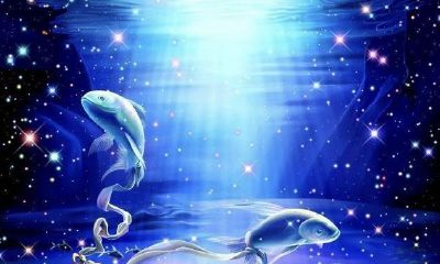 双鱼女不可以爱的三大星座（双鱼座最不该爱上的三个星座）