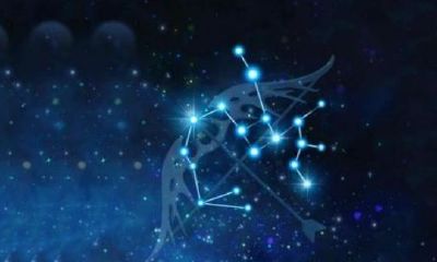 射手座女性格超准分析（水瓶座女生性格超准分析）