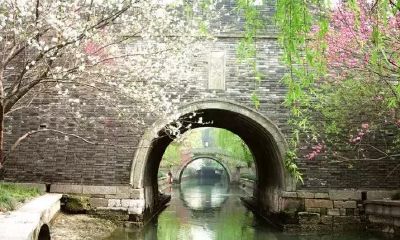 杭州西湖金牛的历史（2023年8月17日相冲生肖）