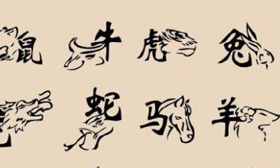 十二属相排序（十二生肖的婚配）