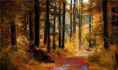 打击摩羯座后他会怎样（摩羯男真分手和假分手的表现）