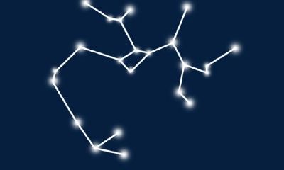 对金牛座男生冷淡会怎么样（金牛座男生喜欢一个人的表现）