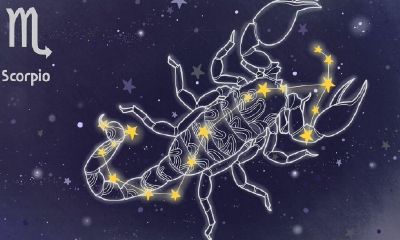 双鱼座能当上老板吗（双鱼座最多能考多少分）