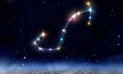 被天蝎座爱过的人不会再爱任何人（天蝎座很容易放弃喜欢的人吗）