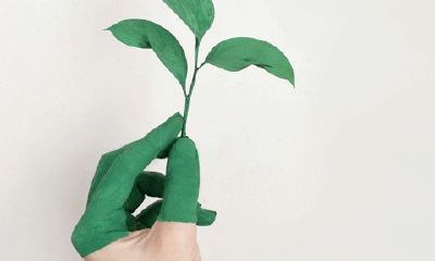 狮子座会选择喜欢的还是适合的（狮子座女人今年的运势）