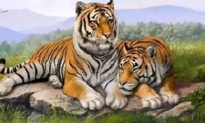 2023年出生的属相是什么（2023什么生肖）