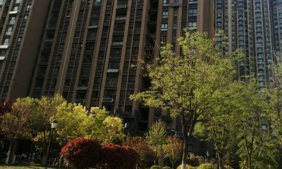 算命先生助我拿下妈（算命先生给自己算命）