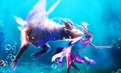 摩羯座介绍图（十二星座摩羯座的性格）