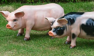 2023属兔的桃花运（属兔2023感情和桃花运）