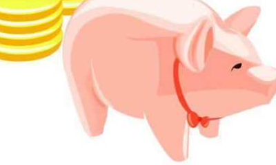 属猪38岁过后的命运（83年属猪的发财年龄段）