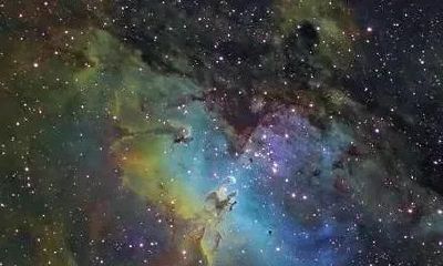 古人夜观星象的风水学（属牛的人怎么旺财运）