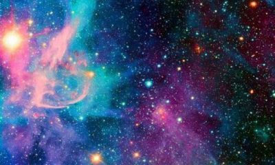 鬼怕不怕双子座（十二星座狮子座怕鬼吗）