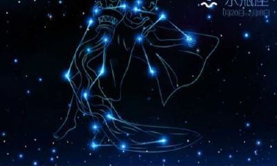 与水瓶座男最般配的星座（水瓶座男喜欢你的预兆）